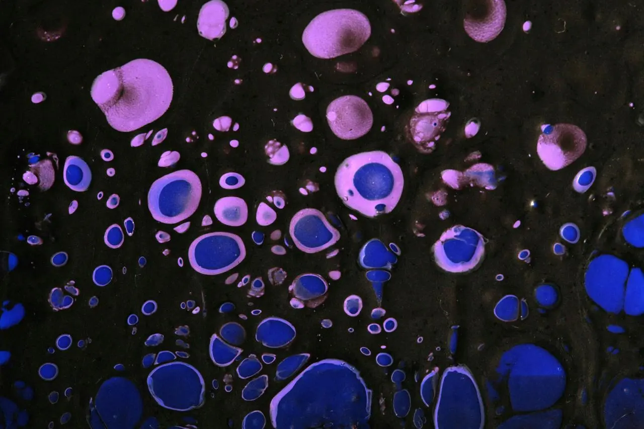 Stem Cell Therapy